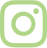 instagram icone